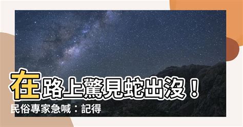 在路上看到蛇代表什麼|【看到蛇是什麼意思】蛇出沒該如何應對？民俗專家：看到蛇必做。